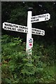 Old Direction Sign - Signpost by Hammer Lane, Warbleton parish