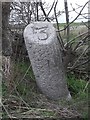Old Milestone by the A90, south of Lunderton, St Fergus parish