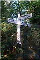 Old Direction Sign - Signpost by Nettlesworth Lane, Horam Lane