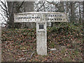 Old Boundary Marker by the A36, Salisbury Road, Codford