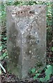 Old Milestone by the A272, Trotton Common, Trotton with Chithurst parish