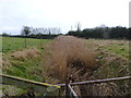 Drain into the River Severn near Purton