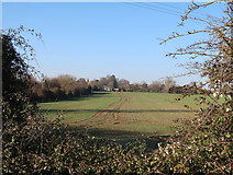 TL5383 : Field by Little Downham by Hugh Venables