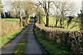 Neatly trimmed hedge, Keady