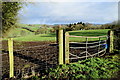 Keady Townland