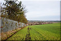 Metal palisade fence bounding sewage works