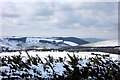 View to Newtimber Hill