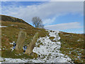 Isolated pair of gateposts