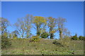 Autumn colours in a cutting