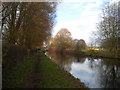 Shropshire Union Canal near Pendeford (1)