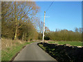 Lane towards Newland End