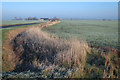 Frosty ditch by Long Causeway