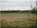 Field by Waterbeach Barracks