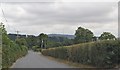 S9058 : Road, County Wexford by N Chadwick
