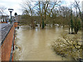 River Mole in flood, Leatherhead