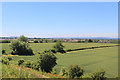 Fields beside the Railway