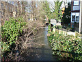 River Colne, Staines