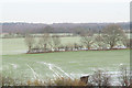 Farmland north of Water Lane