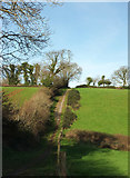 SX8864 : Path above Cockington valley by Derek Harper