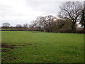 Farmland near Marchwiel