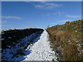 Grass Road, looking west