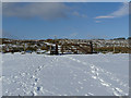 Gate onto the moor at Brass Castle