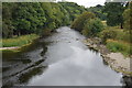 S9156 : River Slaney by N Chadwick