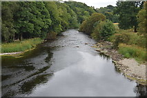 S9156 : River Slaney by N Chadwick