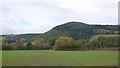 Winter cereals, Combe