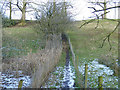 The Dales High Way at Throstle Nest