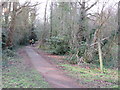 Public footpath, Tadworth