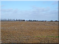 TM0528 : Field north of Frating Road by Robin Webster