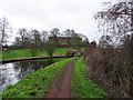 Bridge Scene