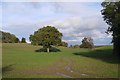 Hummocky ground, Elsdon