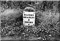 Old Milestone by the B3092, near Brambles Farm, Selwood parish