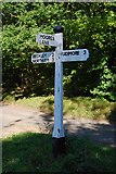 TQ8521 : Old Direction Sign - Signpost by Horseshoe Lane, Beckley parish by Milestone Society