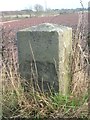 Old Milestone by the A933, Wealthieston, Farnell parish