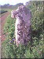 Old Wayside Cross south of Madron church, Madron parish