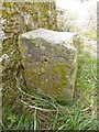 Old Boundary Marker on Grove Cliff, Portland