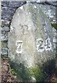 NZ0491 : Old Milestone by the B6342, Ewesley Fell, Nunnykirk parish by IA Davison