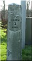 Old Milepost by the A30, London Road, Bishopdown, Salisbury parish