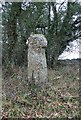 Old Wayside Cross near Linscott Cottages, Moretonhampstead parish