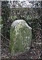 Old Milestone by the A38, Caton Cross, Ashburton parish