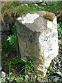 Old Milestone by the A4846, Killarow and Kilmeny parish