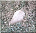 Old Milestone by the B3153, east of East Lydford