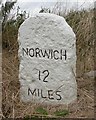 Old Milestone by Milestone Lane, Wicklewood parish