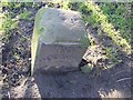 Old Milestone by the A48, High Street, Aylburton