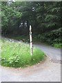 NZ0931 : Old Direction Sign - Signpost by Shull Bank, South Bedburn parish by M Rayner