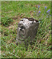 Old Guide Stone by the Sign of The Owl Cross, Kingsbridge Road