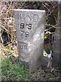 Old Boundary Marker by Poynters Lane, Great Wakering parish